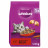 Whiskas - Croquettes chat boeuf 1.4kg