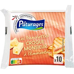 Pâturages - Fromage tranches croqmonsieur