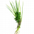 Bouquet garni MARTINIQUE