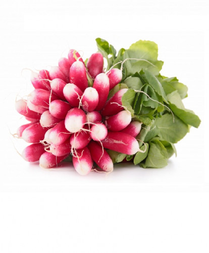 Radis rose 125g / HOLLANDE