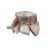 Darnes de marlin 800g