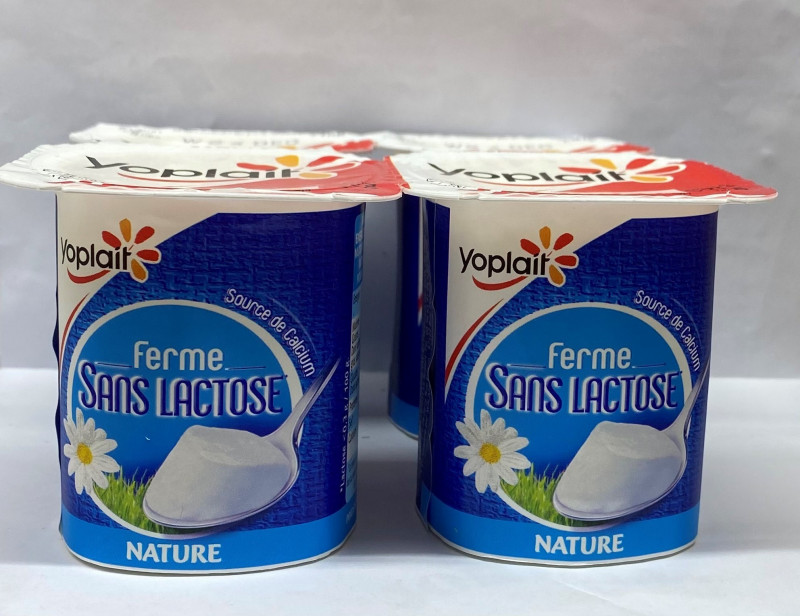 Yoplait - Yaourt nature sans lactose