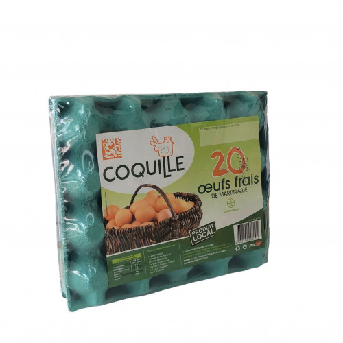 Coquille - Œufs frais locaux x20