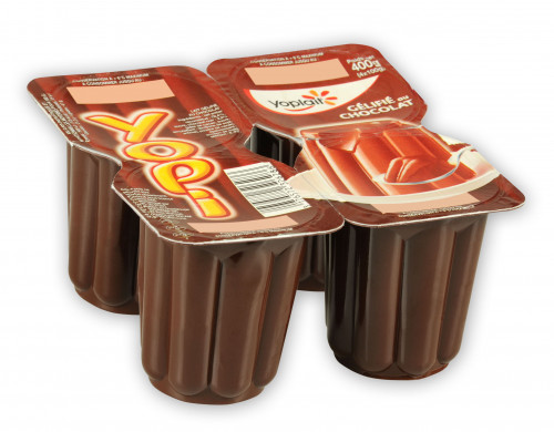 Yoplait - Flan chocolat