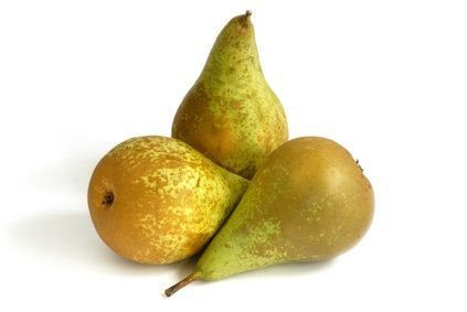 Poire conférence au kg / BELGIQUE