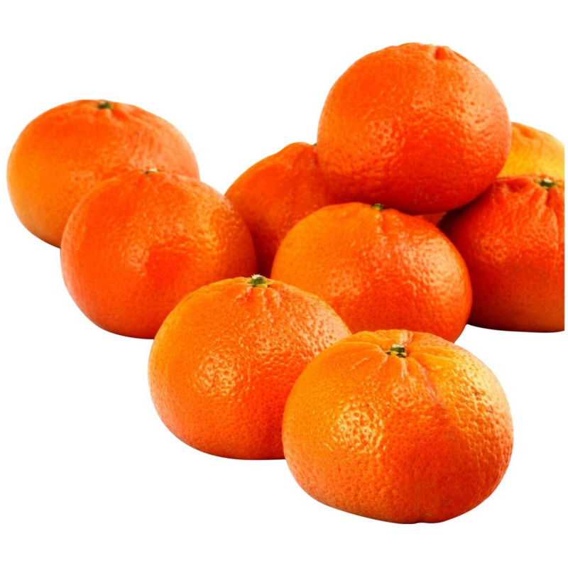Mandarine Murcott au kg / ESPAGNE