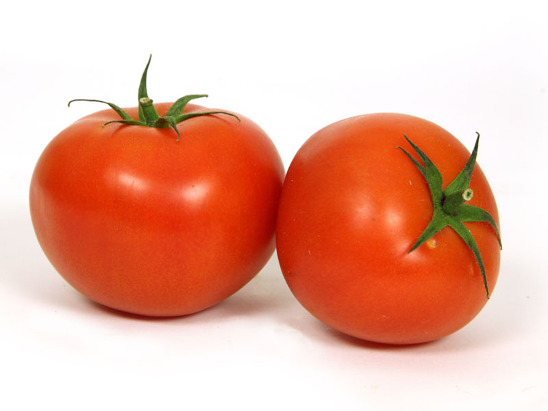Tomate ronde - BELGIQUE