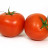 Tomate ronde - BELGIQUE