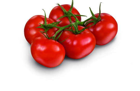 Tomate Grappe - HOLLANDE
