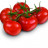 Tomate Grappe - HOLLANDE