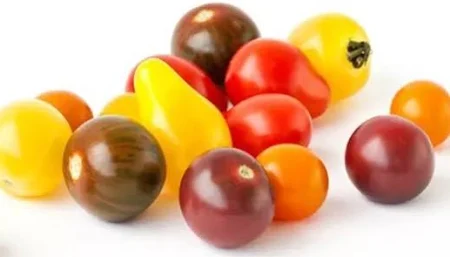 Tomate cerise mixte / MARTINIQUE